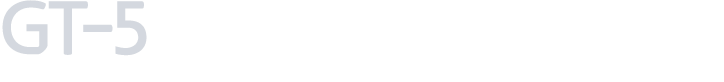 GT 5