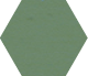 Polygon