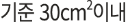 기준 30cm2이내