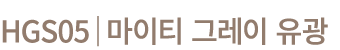 HGS05│마이티 그레이 유광