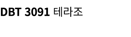 DBT 3091 테라조