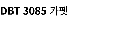 DBT 3085 카펫