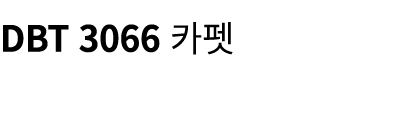 DBT 3066 카펫