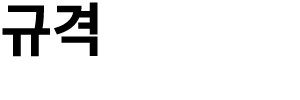 규격