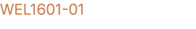 WEL1601 01