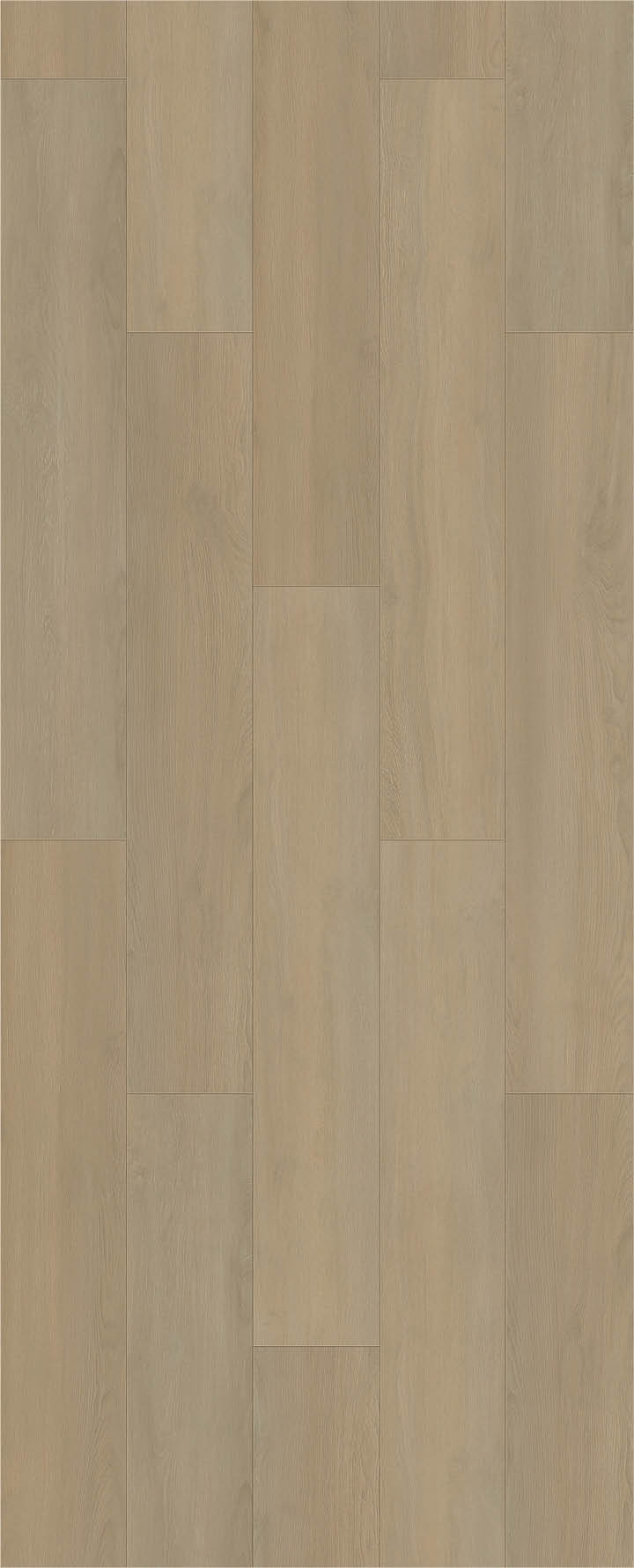 Rectangle