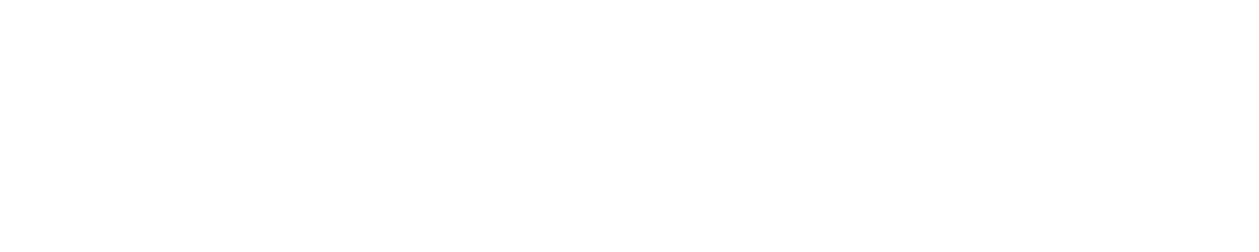 VCT 스탠다드(갤런트)