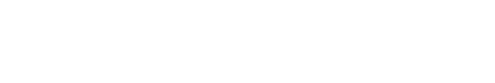 VCT 스탠다드(갤런트)