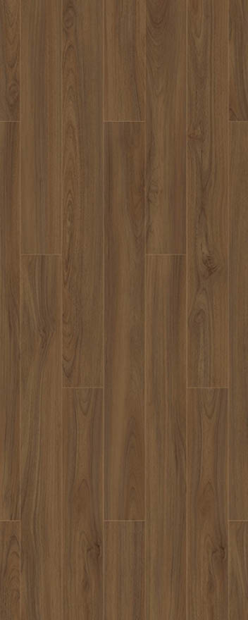 Rectangle