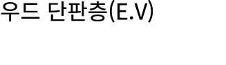 우드 단판층(E.V)