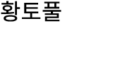 황토풀