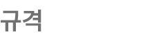 규격