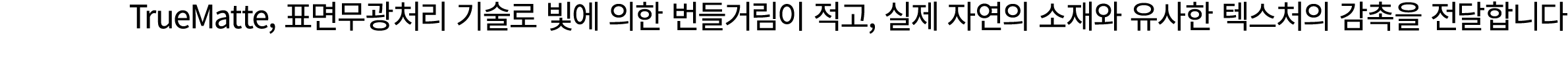 텍스트