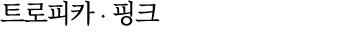 트로피카 ∙ 핑크