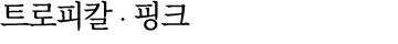 트로피칼 ∙ 핑크