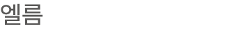 엘름