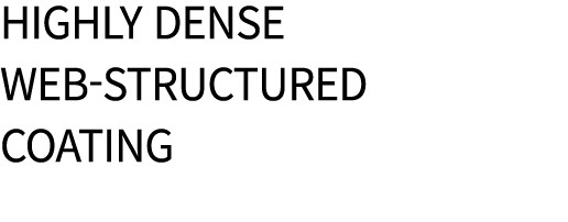 Highly dense web structured coating