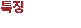 특징