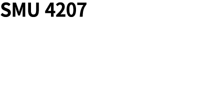 SMU 4207 