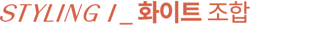 ￼_ 화이트 조합