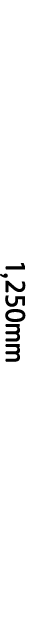 3) 텍스트