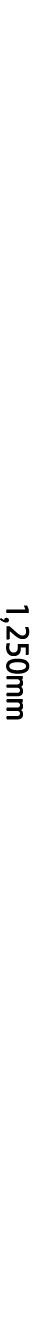3) 텍스트