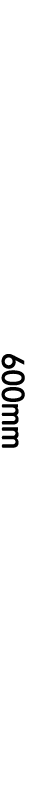 3) 텍스트